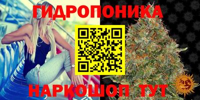 наркотики Заводоуковск